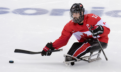 Sledge hockey player